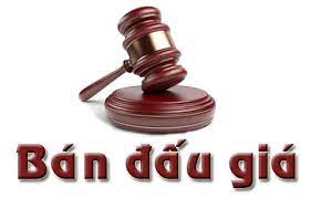 THÔNG BÁO Về việc đấu giá tài sản để thi hành án (Lần 6)